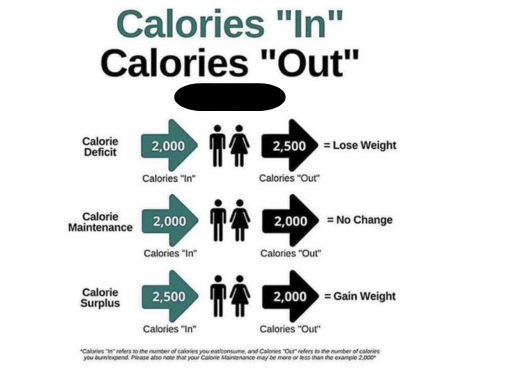 Calories in
Calories out